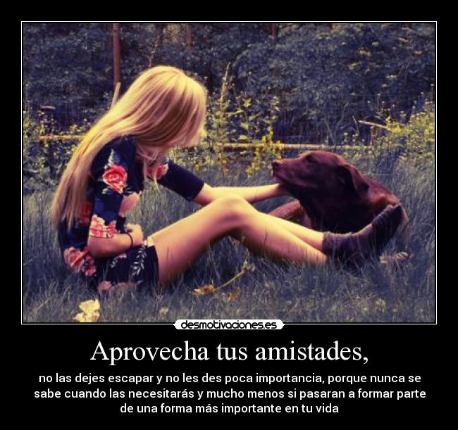 Aprovecha tus amistades, -
