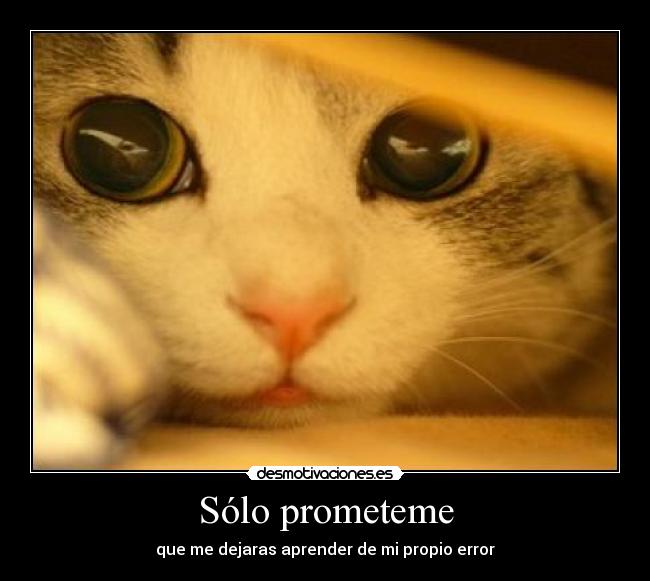 carteles cambiar prometer equivocarse errores desmotivaciones