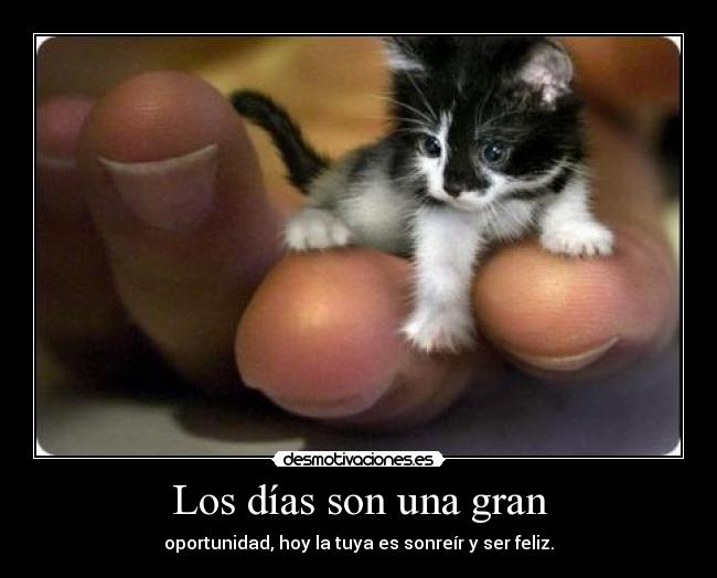 Los días son una gran - oportunidad, hoy la tuya es sonreír y ser feliz.