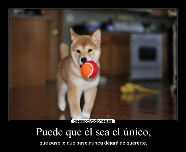 Puede que él sea el único, - que pase lo que pase,nunca dejará de quererte.