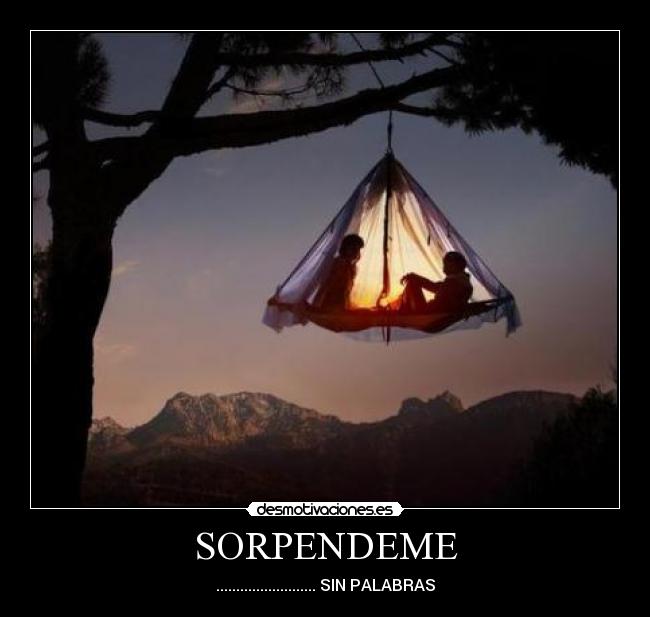 carteles sorprendeme desmotivaciones