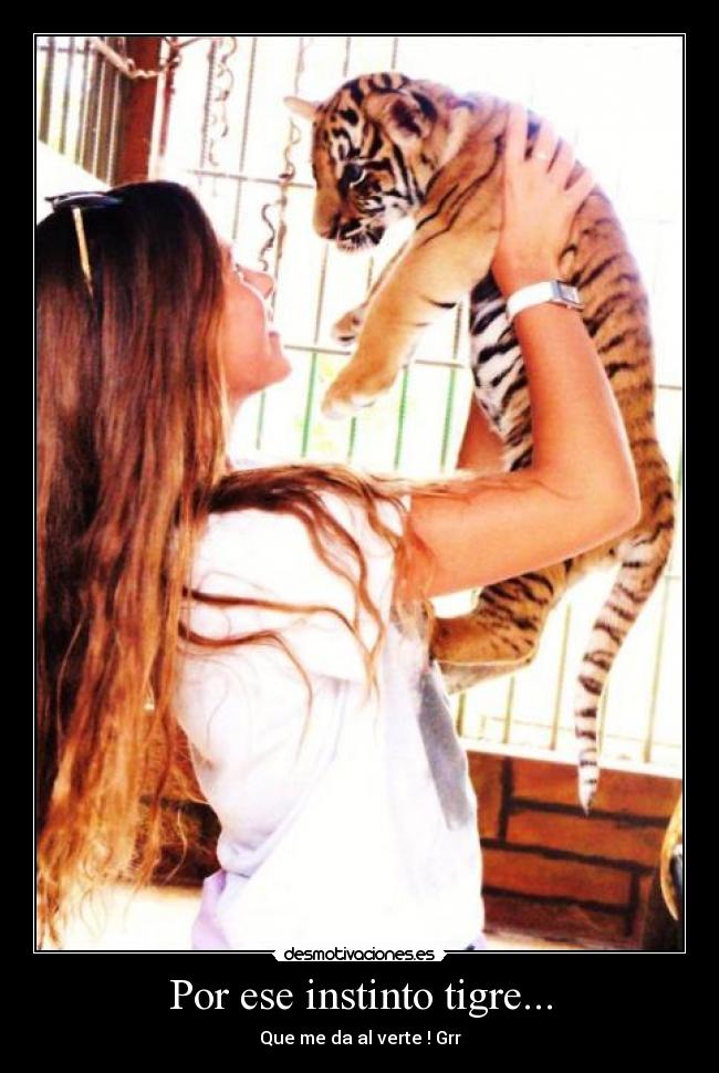Por ese instinto tigre... - 
