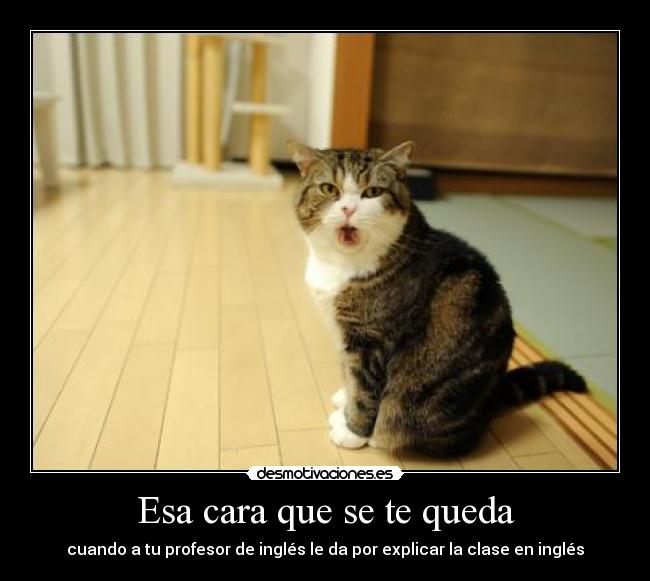 carteles clase ingles profesor explicar cara desmotivaciones