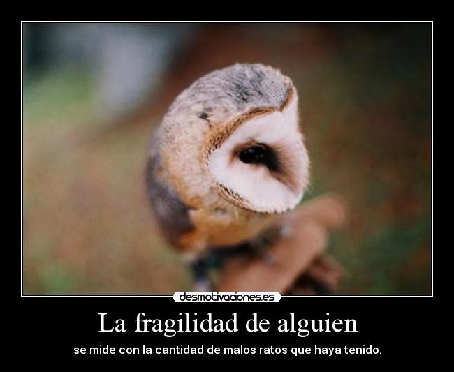 La fragilidad de alguien - se mide con la cantidad de malos ratos que haya tenido.
