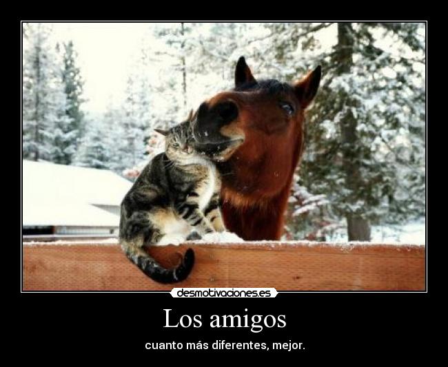 Los amigos - cuanto más diferentes, mejor.
