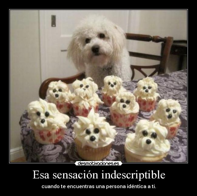 Esa sensación indescriptible - 