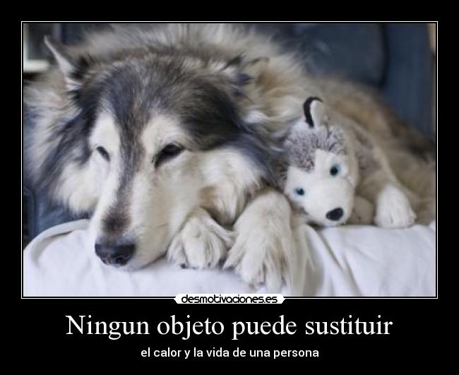 Ningun objeto puede sustituir - el calor y la vida de una persona