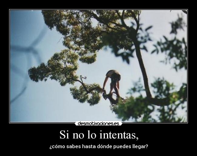 Si no lo intentas, - ¿cómo sabes hasta dónde puedes llegar?