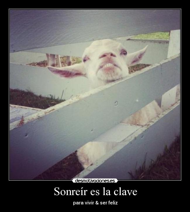 Sonreír es la clave -