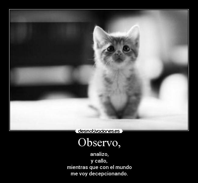 Observo, - 