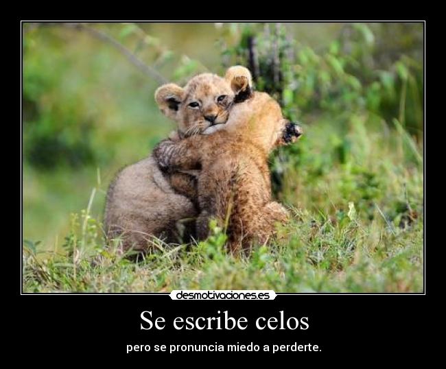 carteles celos asdfghjkln desmotivaciones