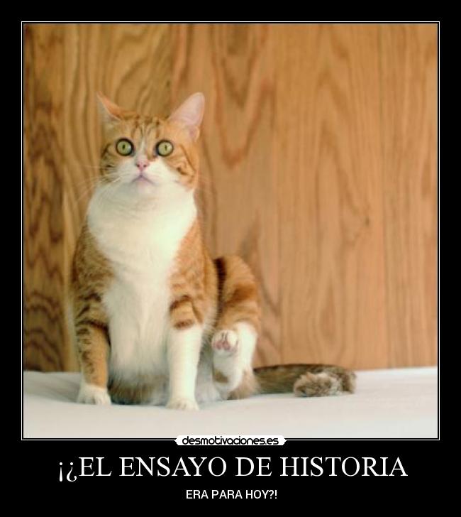 ¡¿EL ENSAYO DE HISTORIA - ERA PARA HOY?!