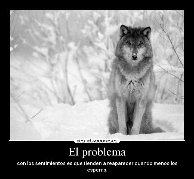 El problema - 