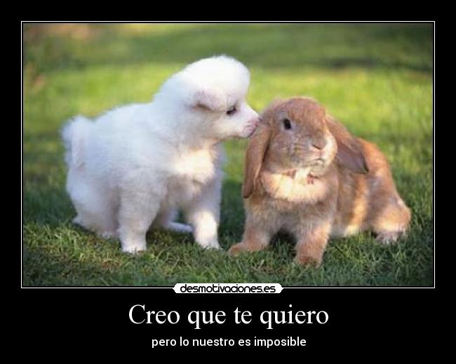 Creo que te quiero - pero lo nuestro es imposible