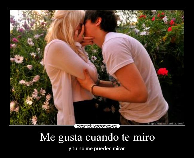 carteles quiero desmotivaciones