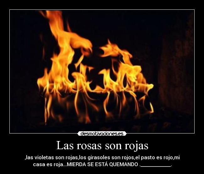 Las rosas son rojas - ,las violetas son rojas,los girasoles son rojos,el pasto es rojo,mi
casa es roja...MIERDA SE ESTÁ QUEMANDO .____________.