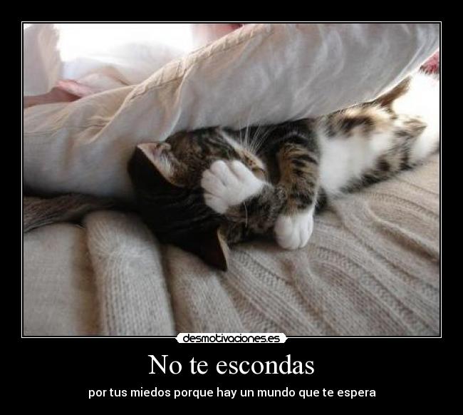 No te escondas - 