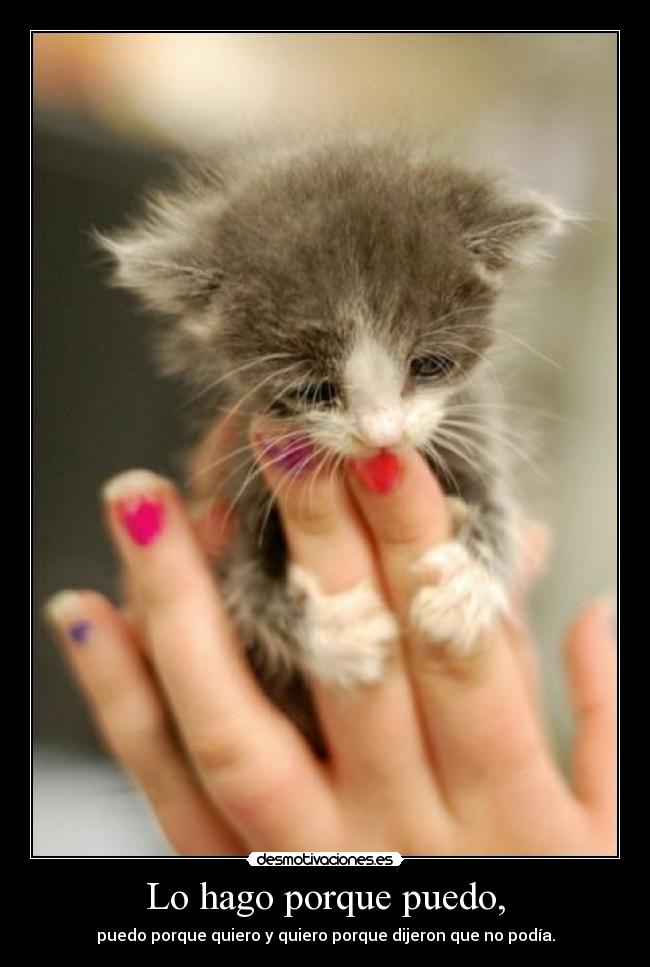 Lo hago porque puedo, - puedo porque quiero y quiero porque dijeron que no podía.