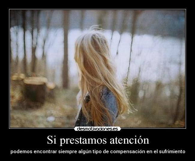Si prestamos atención - podemos encontrar siempre algún tipo de compensación en el sufrimiento