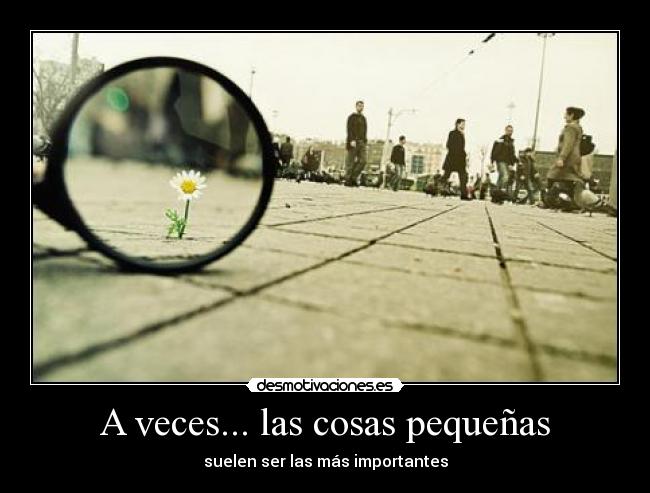 A veces... las cosas pequeñas - 