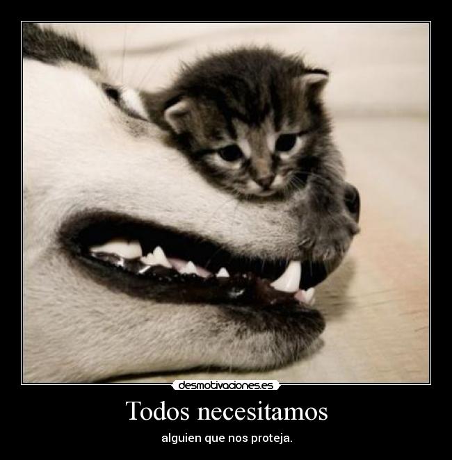 Todos necesitamos - 