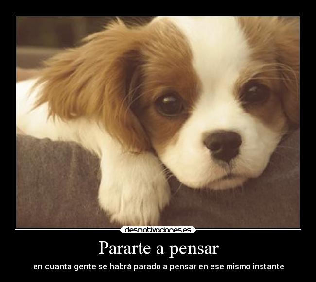 Pararte a pensar - 