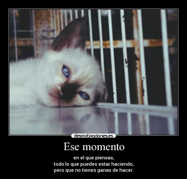 Ese momento -