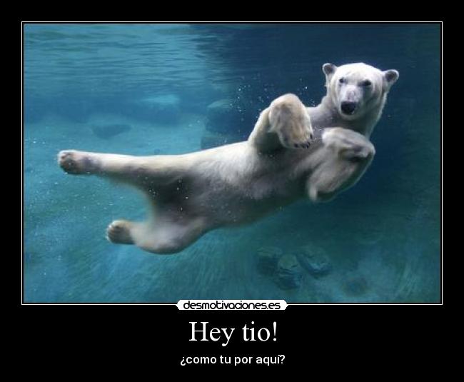 Hey tio! - ¿como tu por aquí?