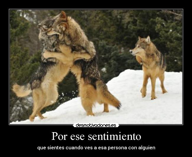 Por ese sentimiento - que sientes cuando ves a esa persona con alguien