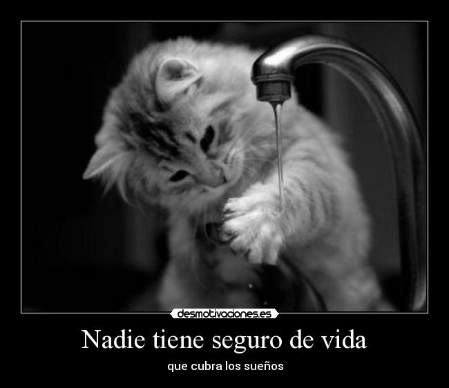 Nadie tiene seguro de vida - que cubra los sueños