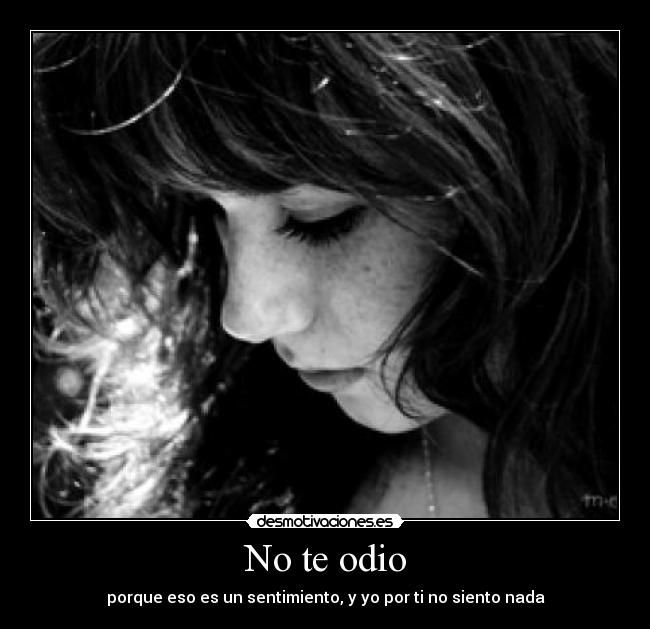 No te odio - porque eso es un sentimiento, y yo por ti no siento nada