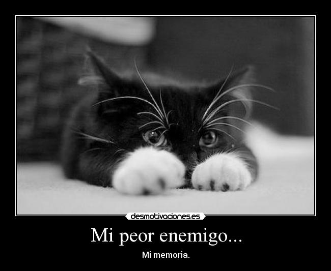 Mi peor enemigo... - Mi memoria.