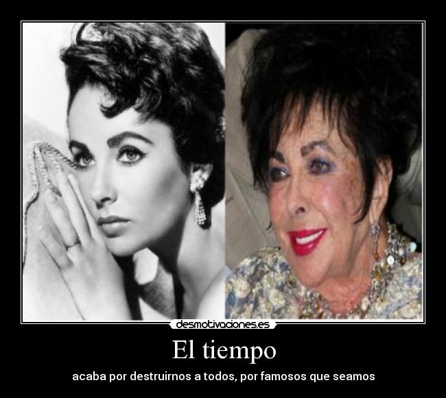 carteles liz taylor desmotivaciones