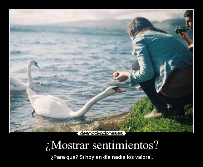¿Mostrar sentimientos? -