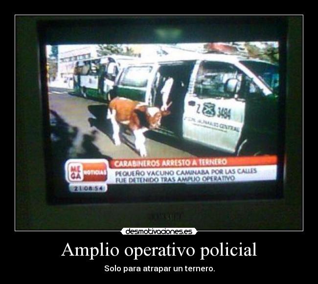 Amplio operativo policial -