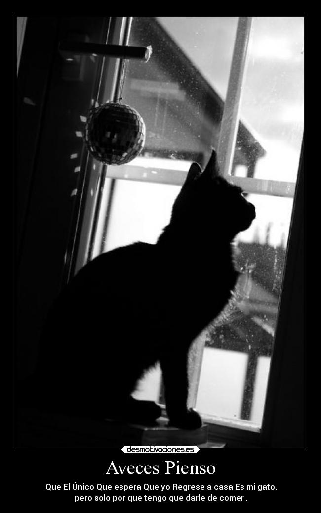 Aveces Pienso - Que El Único Que espera Que yo Regrese a casa Es mi gato.
pero solo por que tengo que darle de comer .
