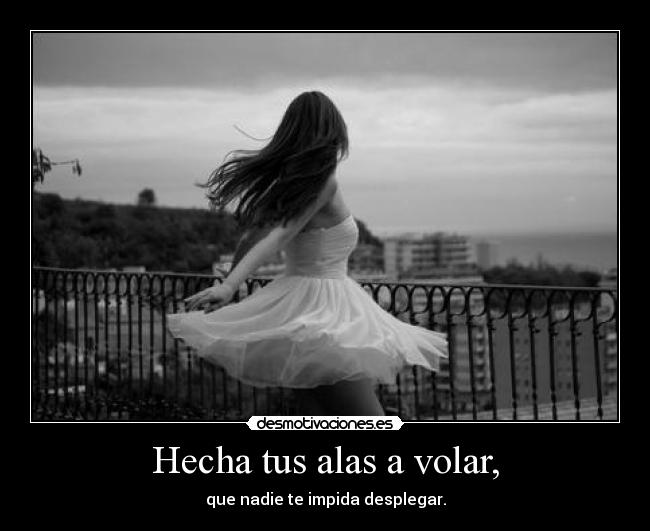Hecha tus alas a volar, -