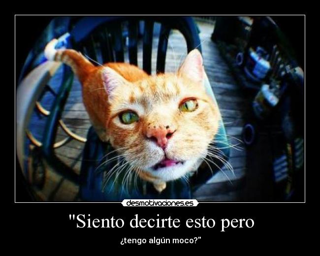 Siento decirte esto pero - 