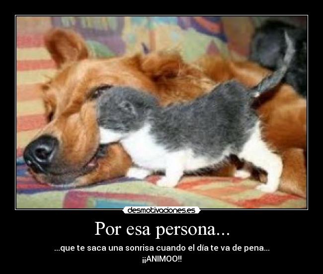 Por esa persona... - ...que te saca una sonrisa cuando el día te va de pena...
¡¡ANIMOO!!