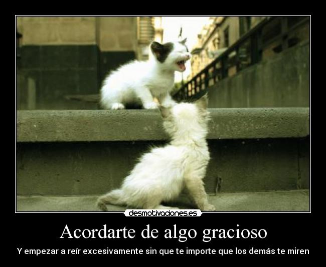 Acordarte de algo gracioso - 