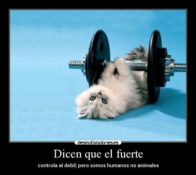Dicen que el fuerte - controla al debil; pero somos humanos no animales
