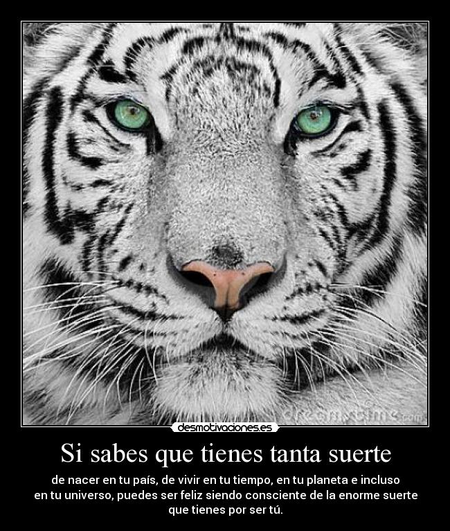 Si sabes que tienes tanta suerte -