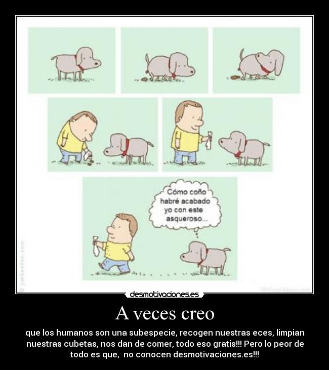 A veces creo - que los humanos son una subespecie, recogen nuestras eces, limpian
nuestras cubetas, nos dan de comer, todo eso gratis!!! Pero lo peor de
todo es que, no conocen desmotivaciones.es!!!