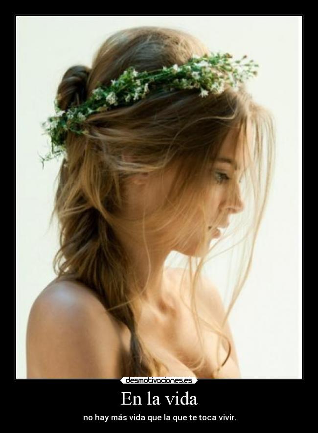 carteles vida vida desmotivaciones