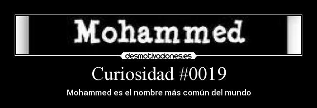 Curiosidad #0019 -