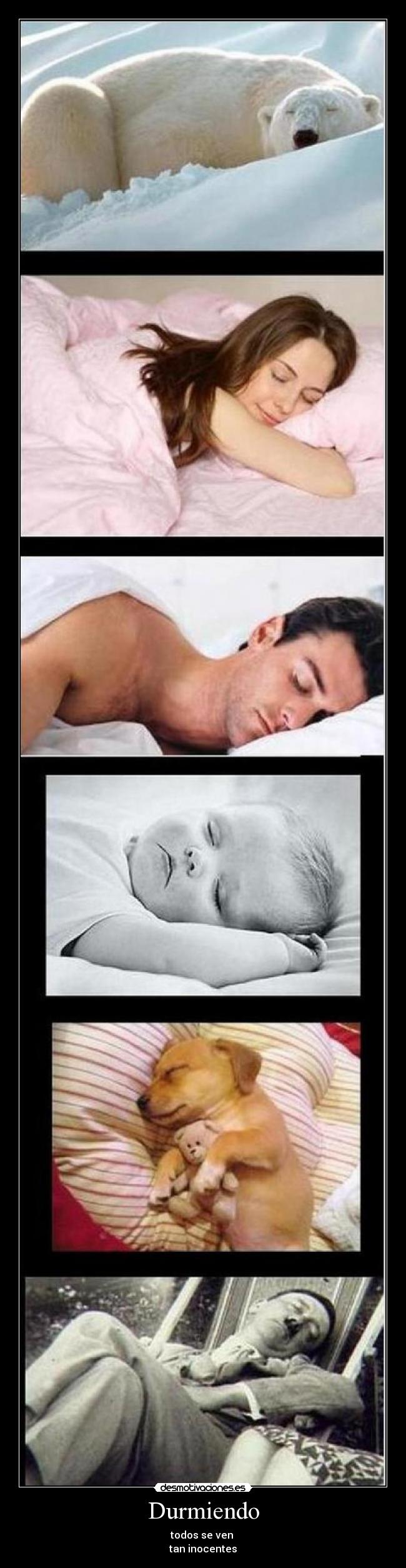 Durmiendo - 