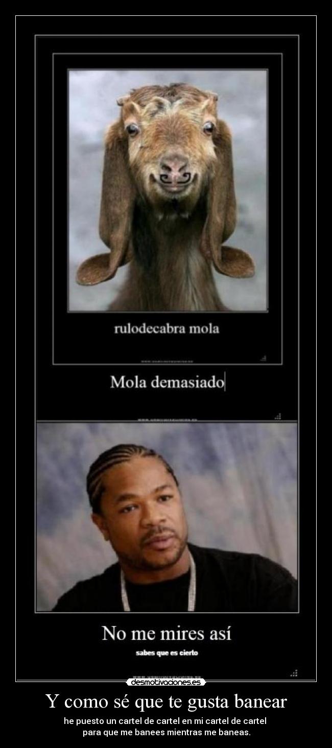 Y como sé que te gusta banear - he puesto un cartel de cartel en mi cartel de cartel
para que me banees mientras me baneas.