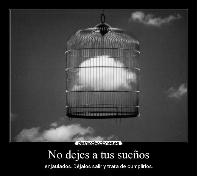 No dejes a tus sueños - enjaulados. Déjalos salir y trata de cumplirlos.