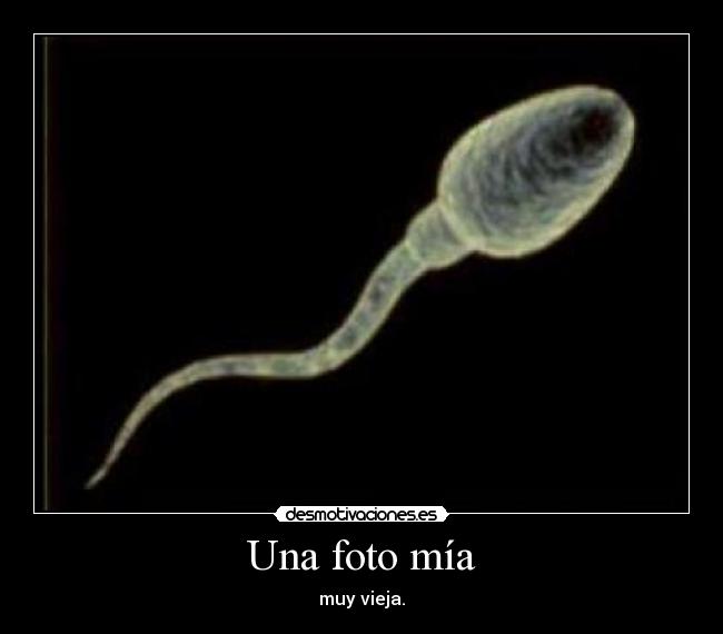 Una foto mía - 