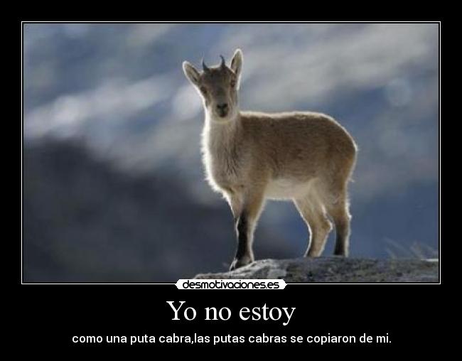 Yo no estoy - 